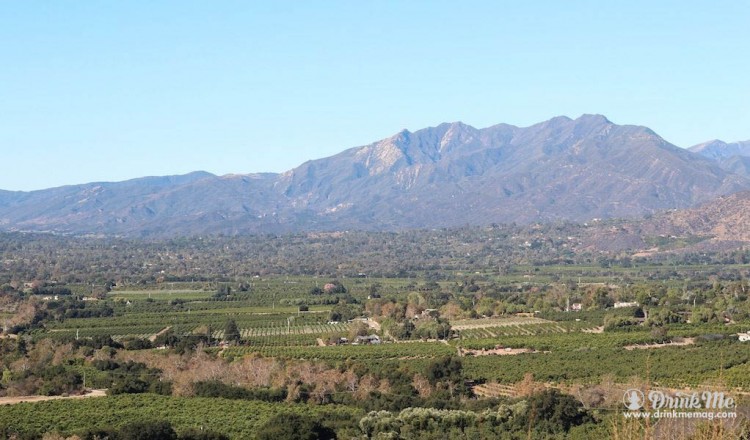 Everything You Need To Know About Ojai, California In 48 Hours | Drink ...