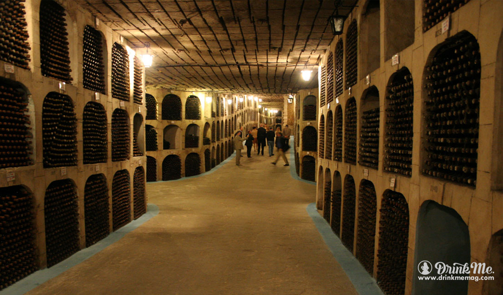 Biggest Wine Cellar 6