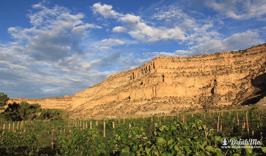 New Mexico Wines History Drink Me