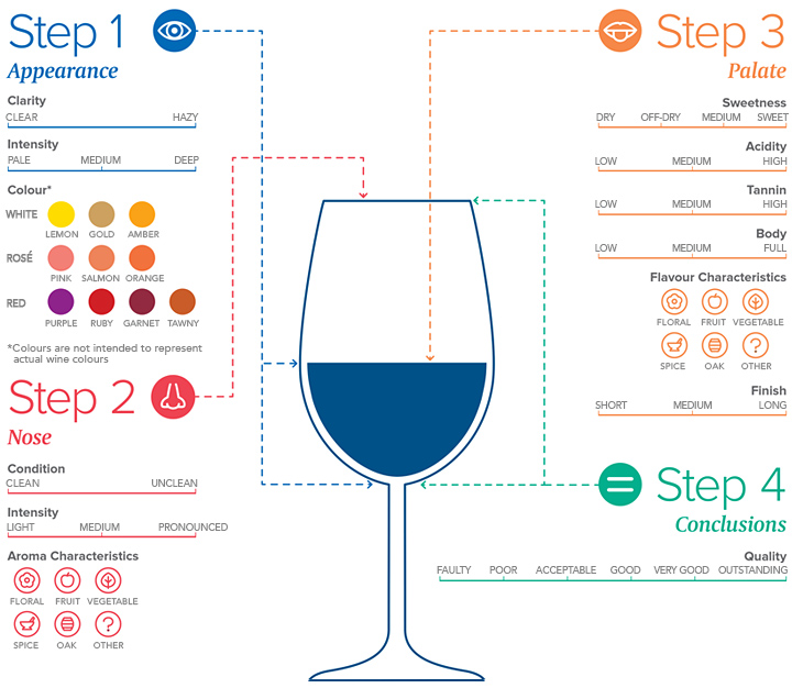 WSET-Newsletter_Infographic