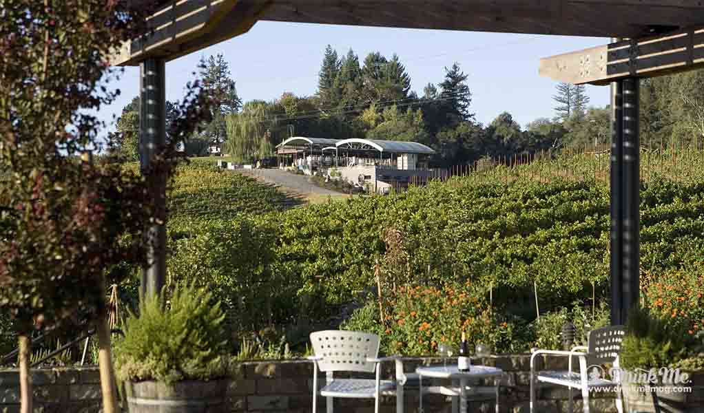 Lynmar Estate best winery in sonoma pinot noir drinkmemag.com drink me3