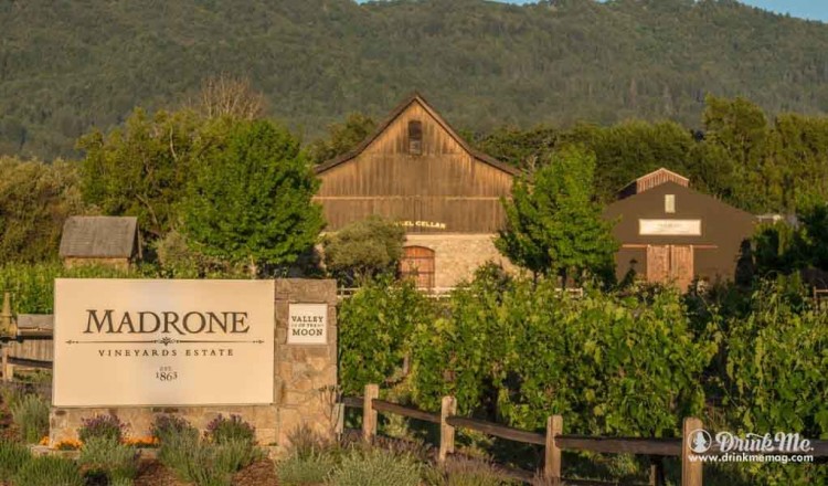Madrone Winery drinkmemag.com drink me best sonoma wineries3