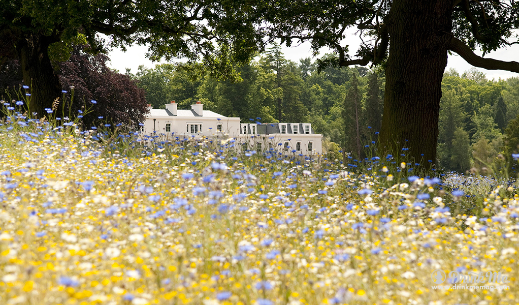 Meadow & Exterior back - Coworth Park drinkmemag.com drink me Coworth Park Wine Dinners